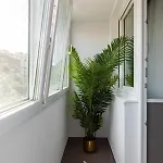 Welcome To The Jungle By Holt Apartman *